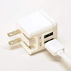 Voltage Valet - Universal Travel Adaptor Kit - Dual USB | US / EU / GB / AU / CH / HK